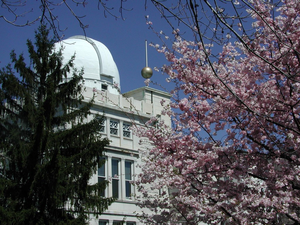 Sonicwall – freynprojects: Sonicwall